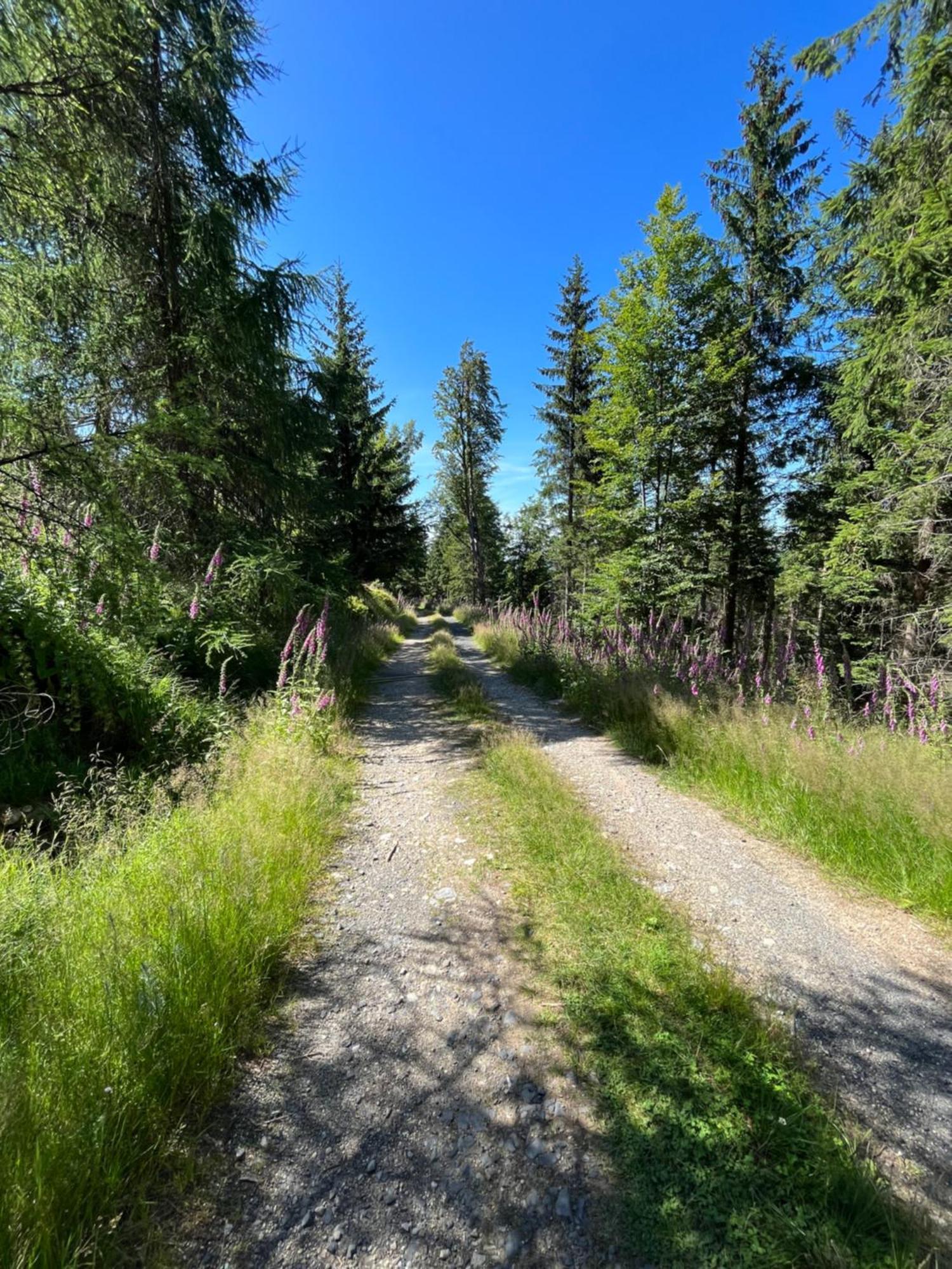 Woodyou - Izerski Resort Świeradów-Zdrój Екстериор снимка
