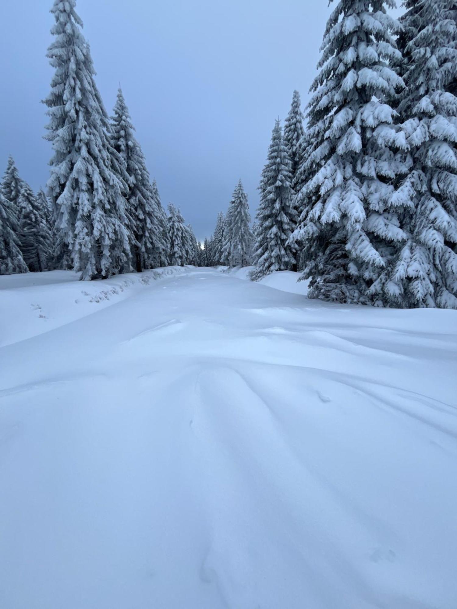 Woodyou - Izerski Resort Świeradów-Zdrój Екстериор снимка