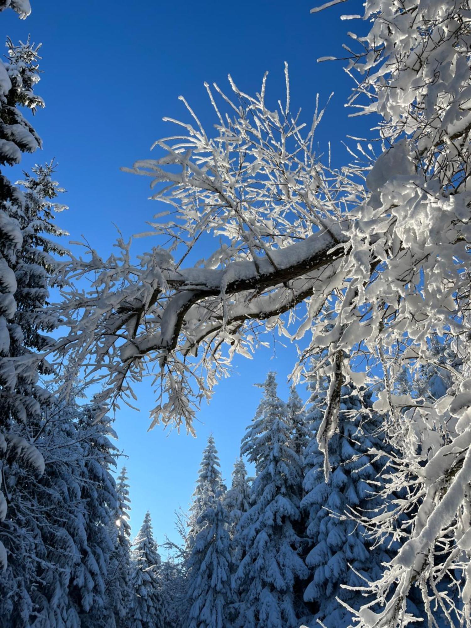 Woodyou - Izerski Resort Świeradów-Zdrój Екстериор снимка